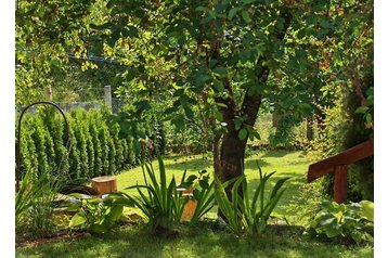 Ungheria Privát Balatonkenese, Esterno